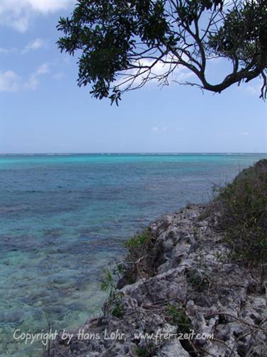 2010 Cuba, Holguin, Hotel Rio de Oro, Paradisus, DSC00094b_H555